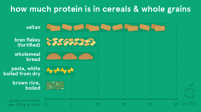 How much protein is in cereals and whole grains