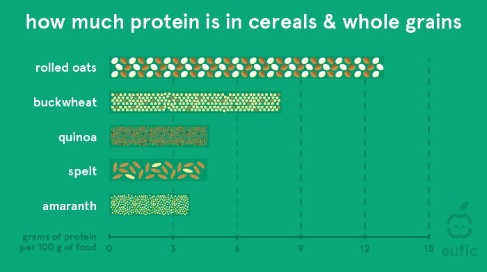 How much protein is in cereals and whole grains