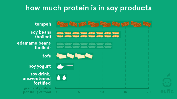 Plant Based Protein All You Need To Know To Get Enough Of It Eufic