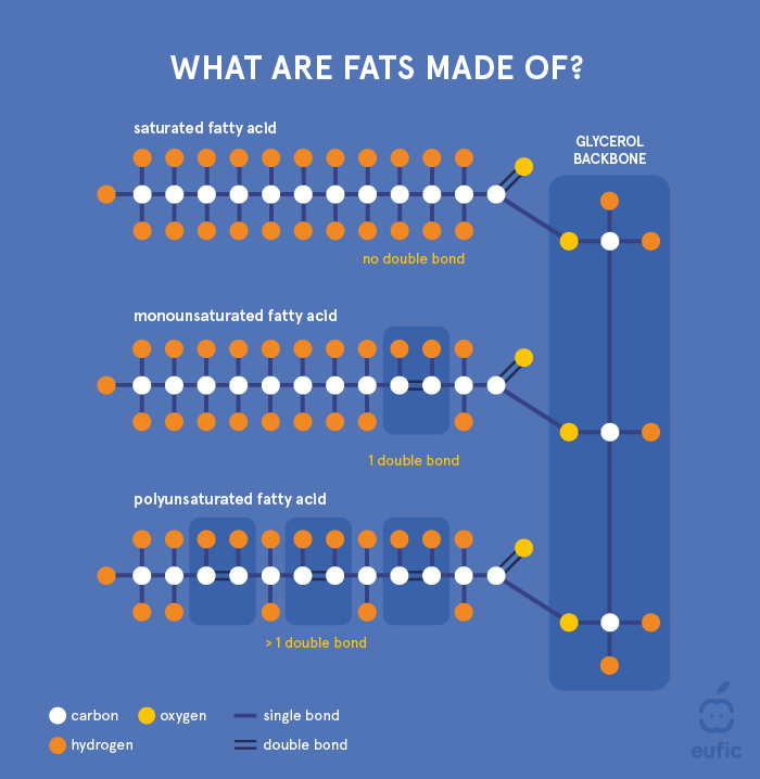 Structure of a triglyceride and saturated, monounsaturated and polyunsaturated fatty acids