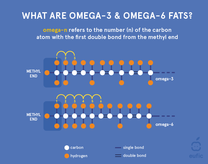 Structure of a omega-3 and omega-6 fatty acid