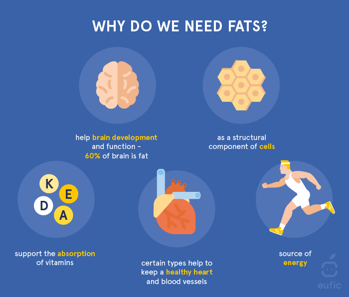 Functions of fats