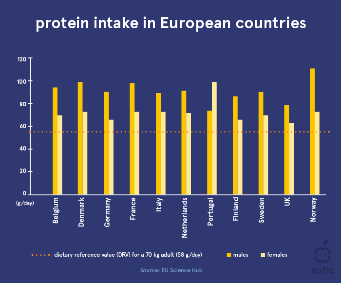 Protein: Importance and Why Your Body Needs It 