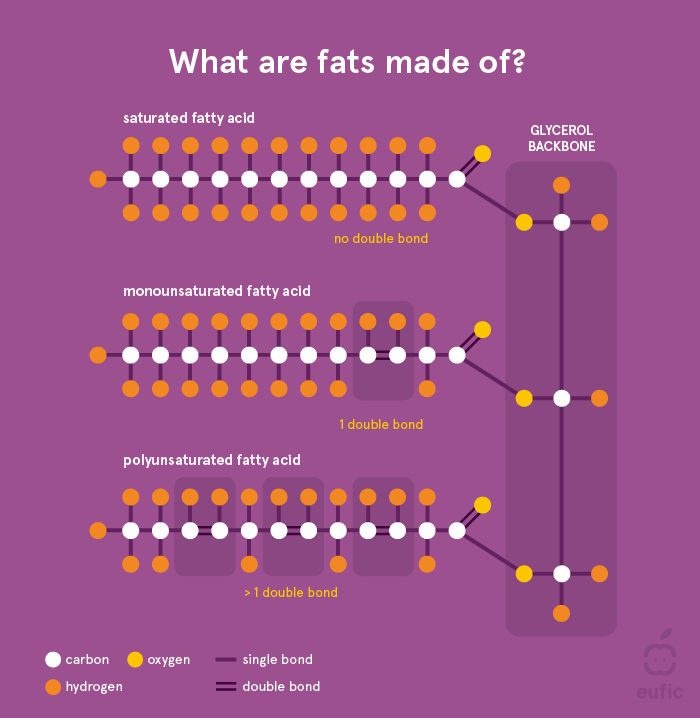 What are fats made of