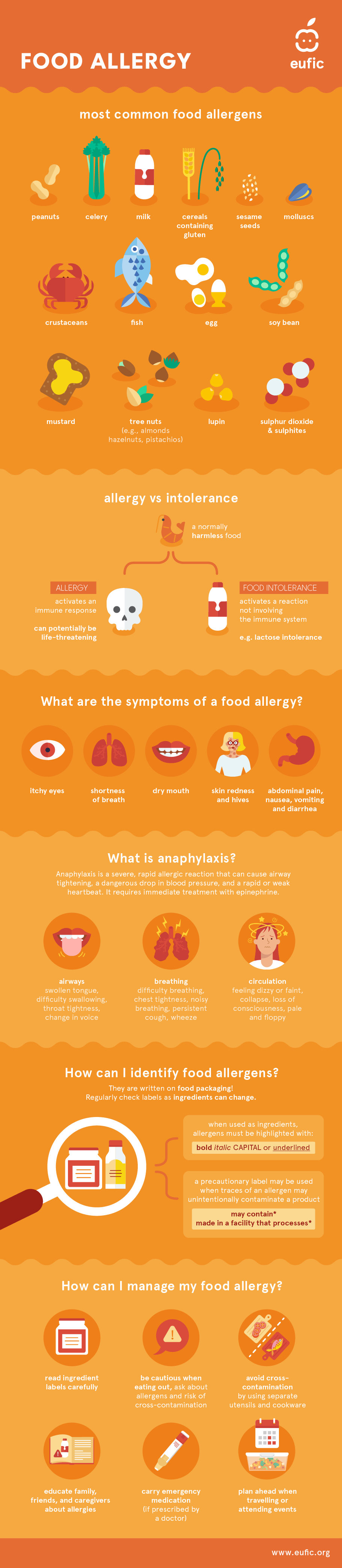 FoodAllergens-update-2025~_infographic_corrected.png