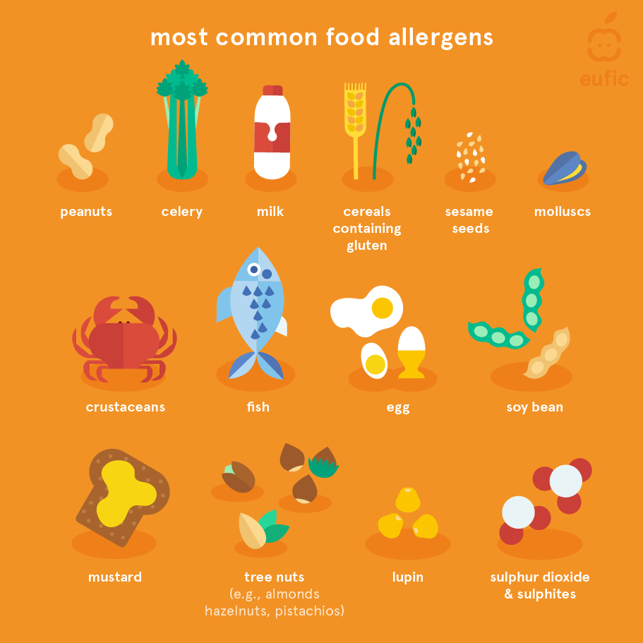 List_of_the_14_Most_Common_Food_Allergens_article_image.png
