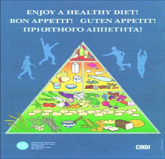 CINDI Food Pyramid 