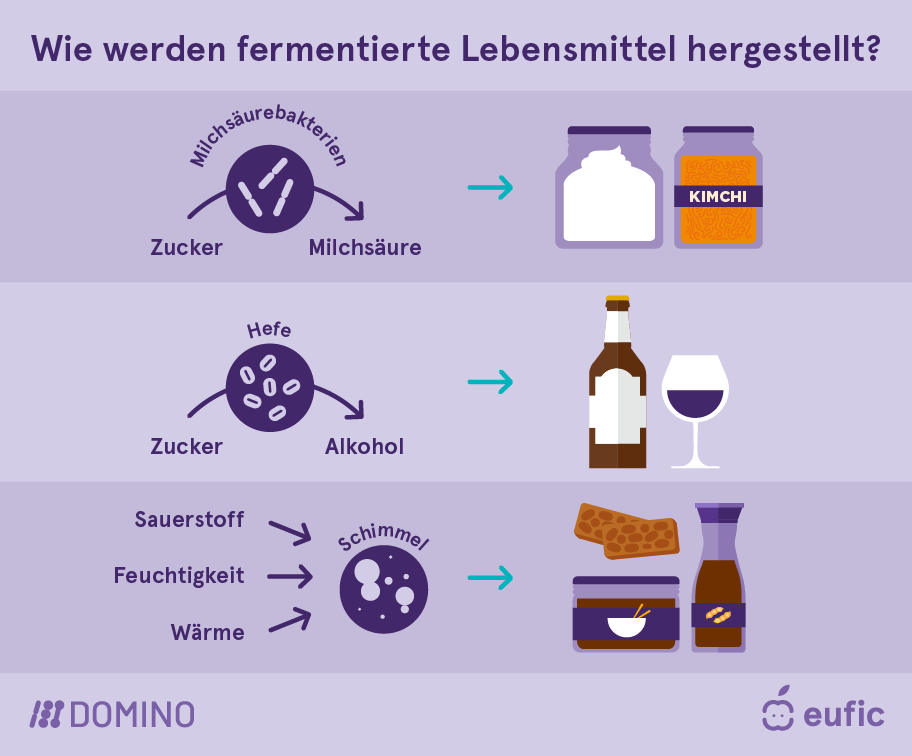 EUFIC-DOMINO_Fermented-foods-how-fermented-foods-are-made-DE.png