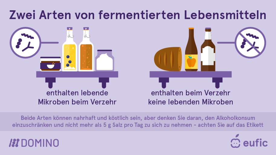 EUFIC-DOMINO_Fermented-foods-types-DE.png