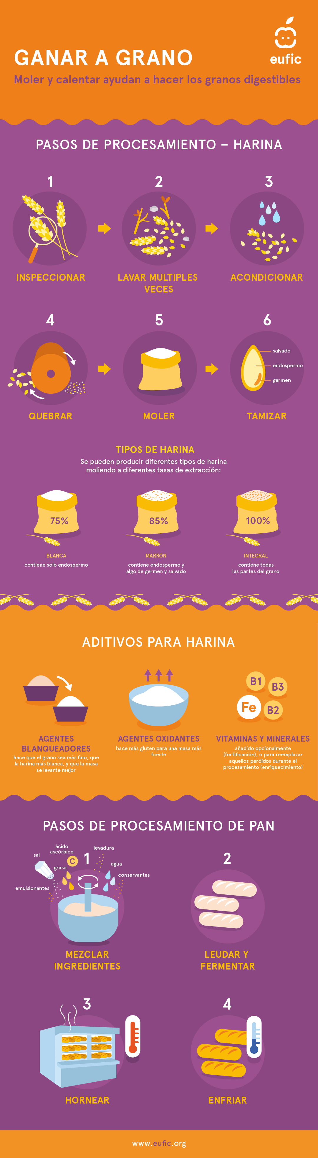 como se hacen el pan y la harina