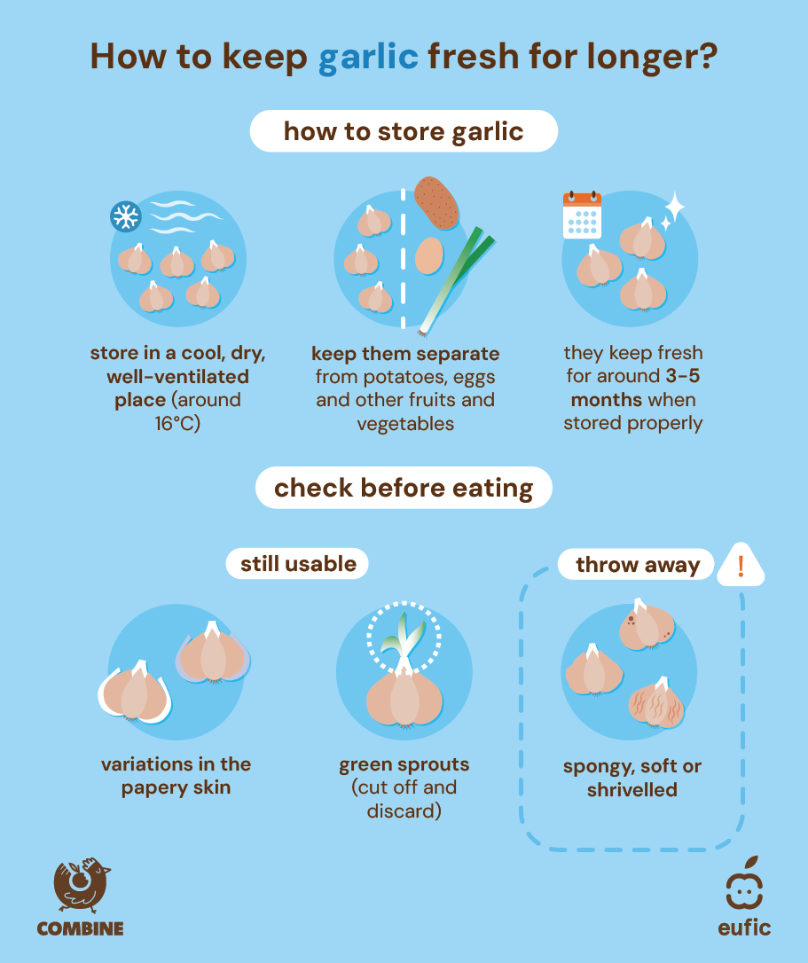 How_to_store_food_batch_1_article-garlic.png