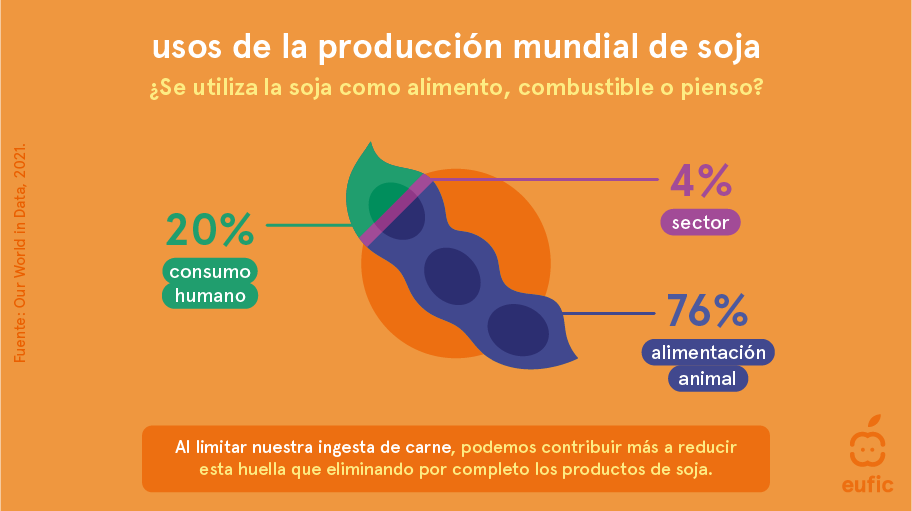Is_eating_soy_bad_for_the_environment_ES_1_ES.png