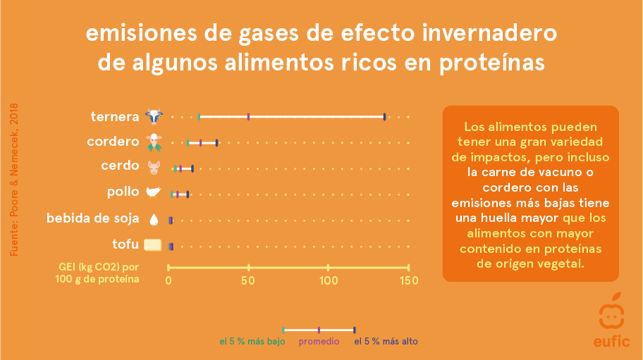 Is_eating_soy_bad_for_the_environment_ES_2_ES.png