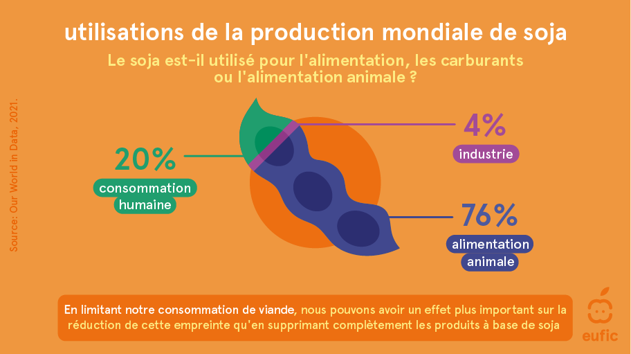 Is_eating_soy_bad_for_the_environment_FR_1_FR.png