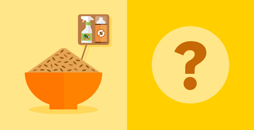 Do whole grains have more pesticide residues than refined grains?