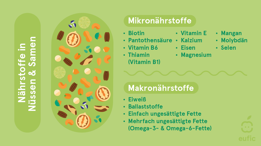 Nuts_seeds_nutrients-DE.png