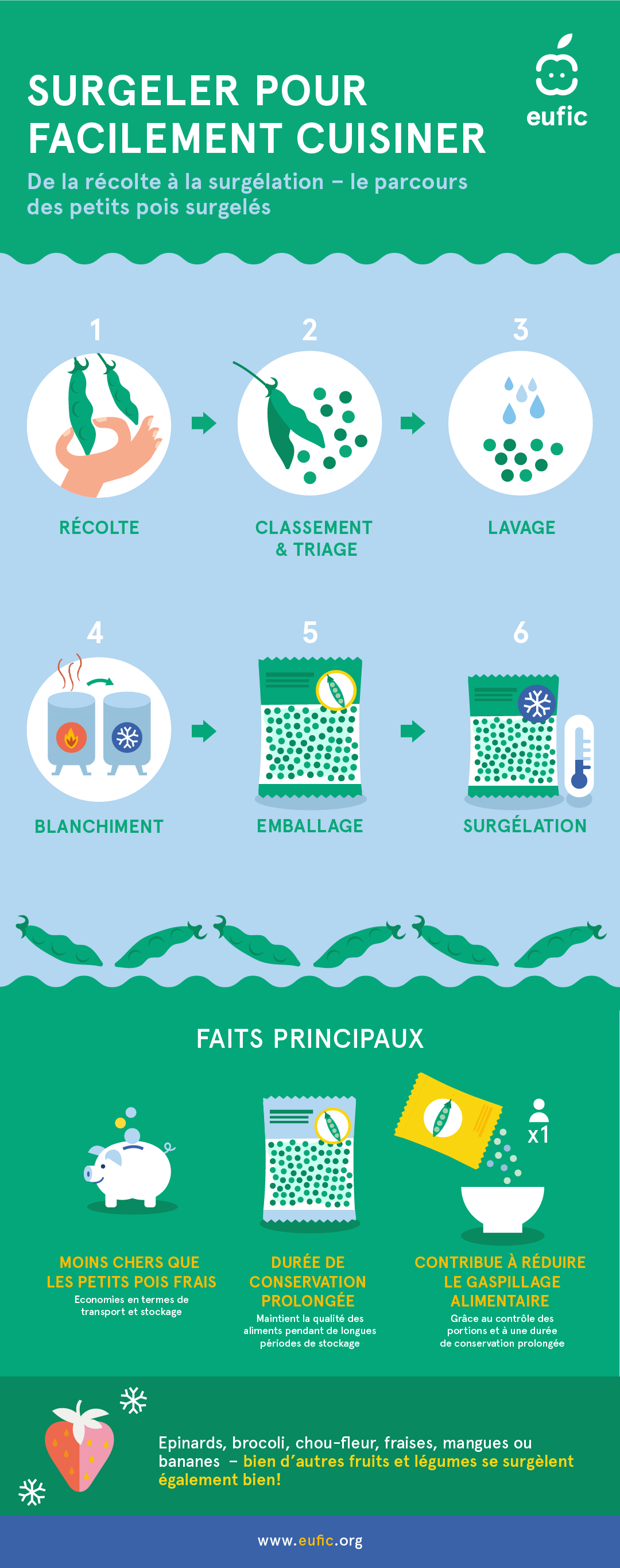 Comment sont faites les légumes surgelées