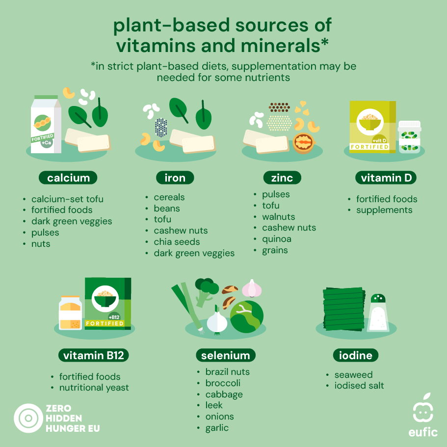 Plant-based_ZHH-EUFIC_article-1-EN.png