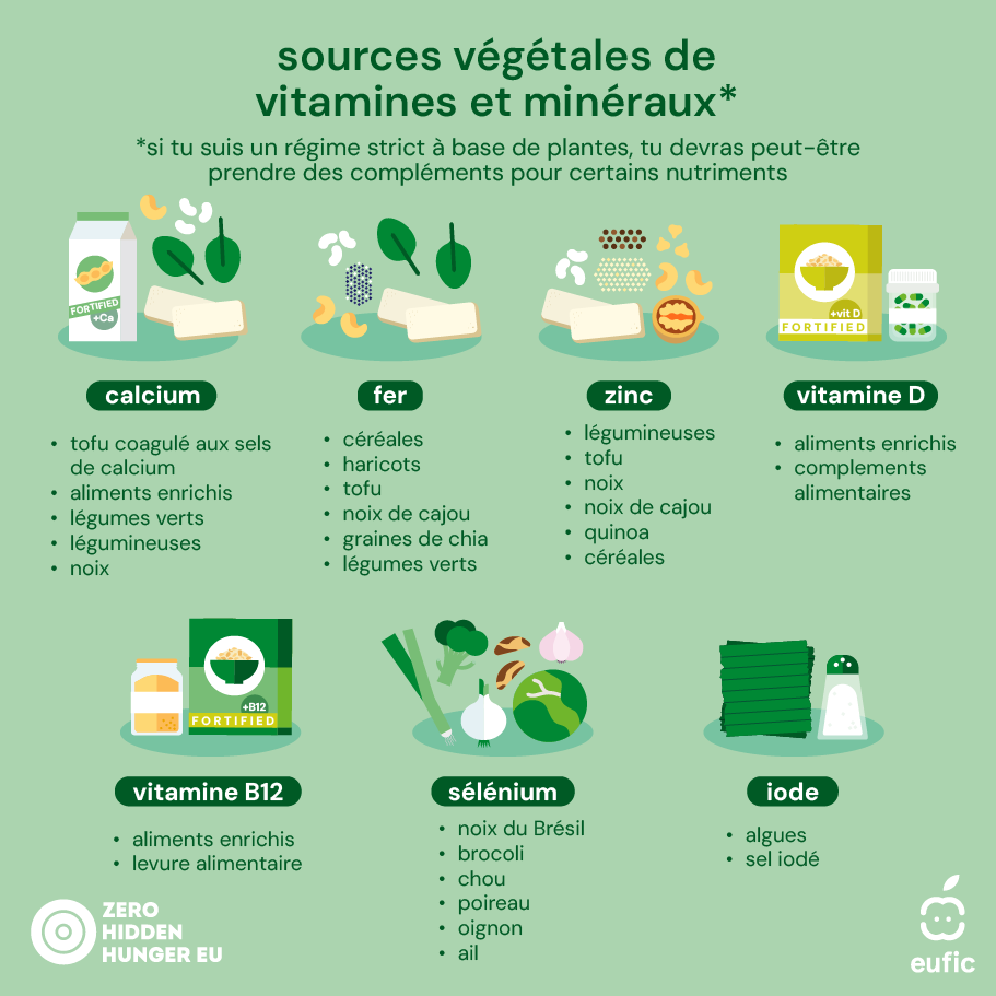 Plant-based_ZHH-EUFIC_article-1-FR.png