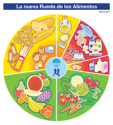 The Spanish wheel, rueda de los alimentos