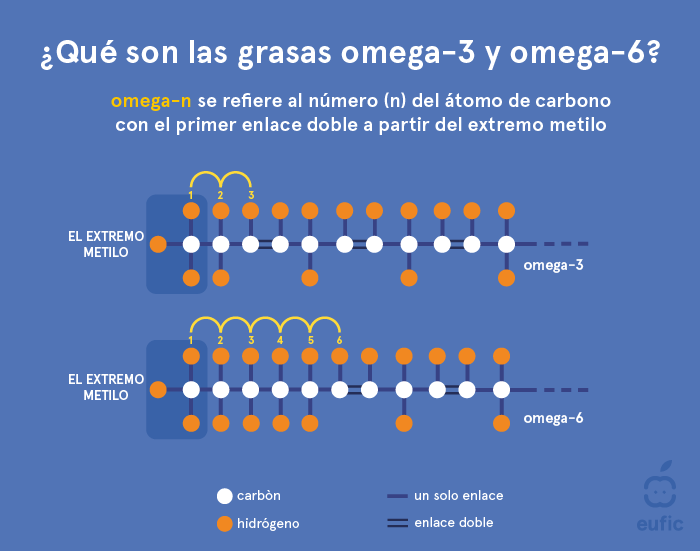 Estructura de un ácido graso omega-3 y omega-6