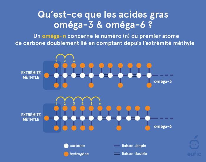 La structure des acides gras oméga-3 et oméga-6