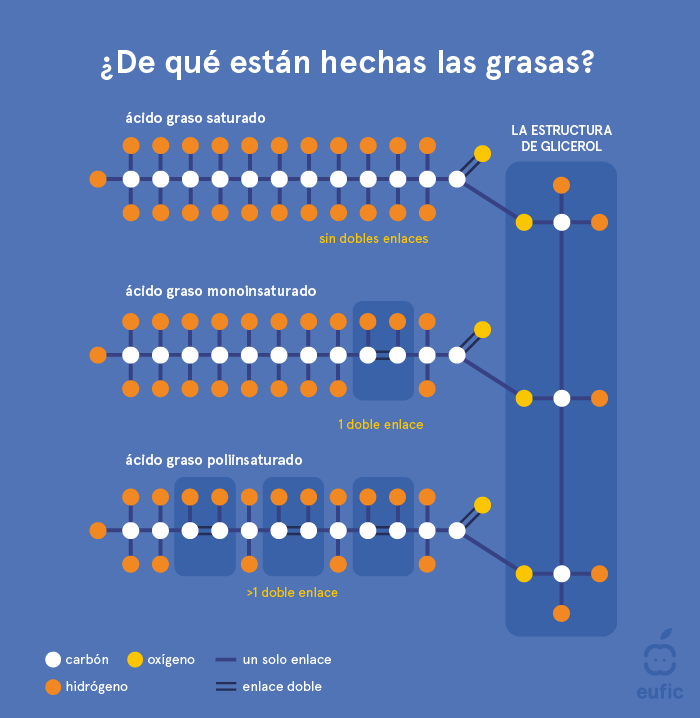 Estructura de un triglicérido y ácidos grasos saturados, monoinsaturados y poliinsaturados