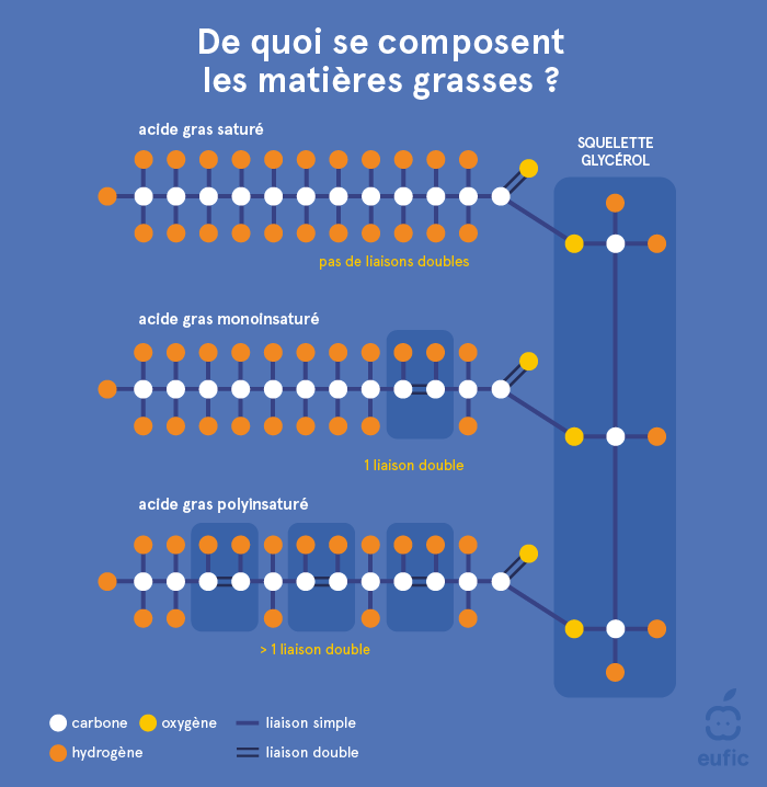 Structure d’un triglycéride et d’acides gras saturés, monoinsaturés et polyinsaturés