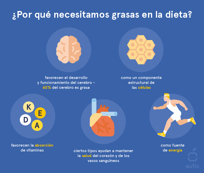 Funciones de las grasas