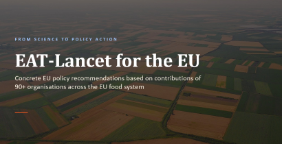 New EU policy brief sets out six priorities for a healthier and more sustainable food system