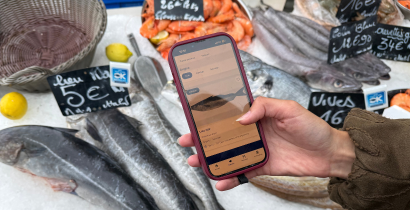 World Maritime Day: Free app helps Europeans  make more sustainable seafood choices