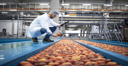 How climate change may affect food safety: HOLiFOOD works with six European influencers to explain emerging risks