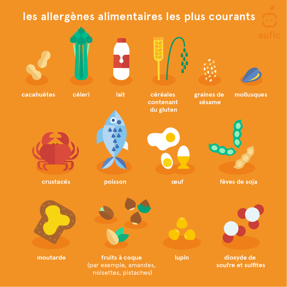 Liste Des 14 Allerg nes Alimentaires Les Plus Courants Eufic Liste Des 14 Allerg nes Alimentaires Les Plus Courants Eufic
