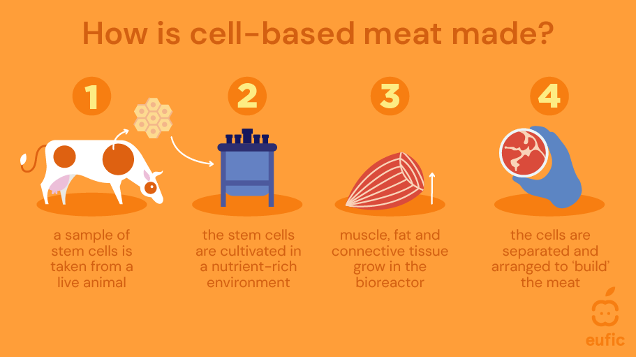 cell-based-meat_article-image.png