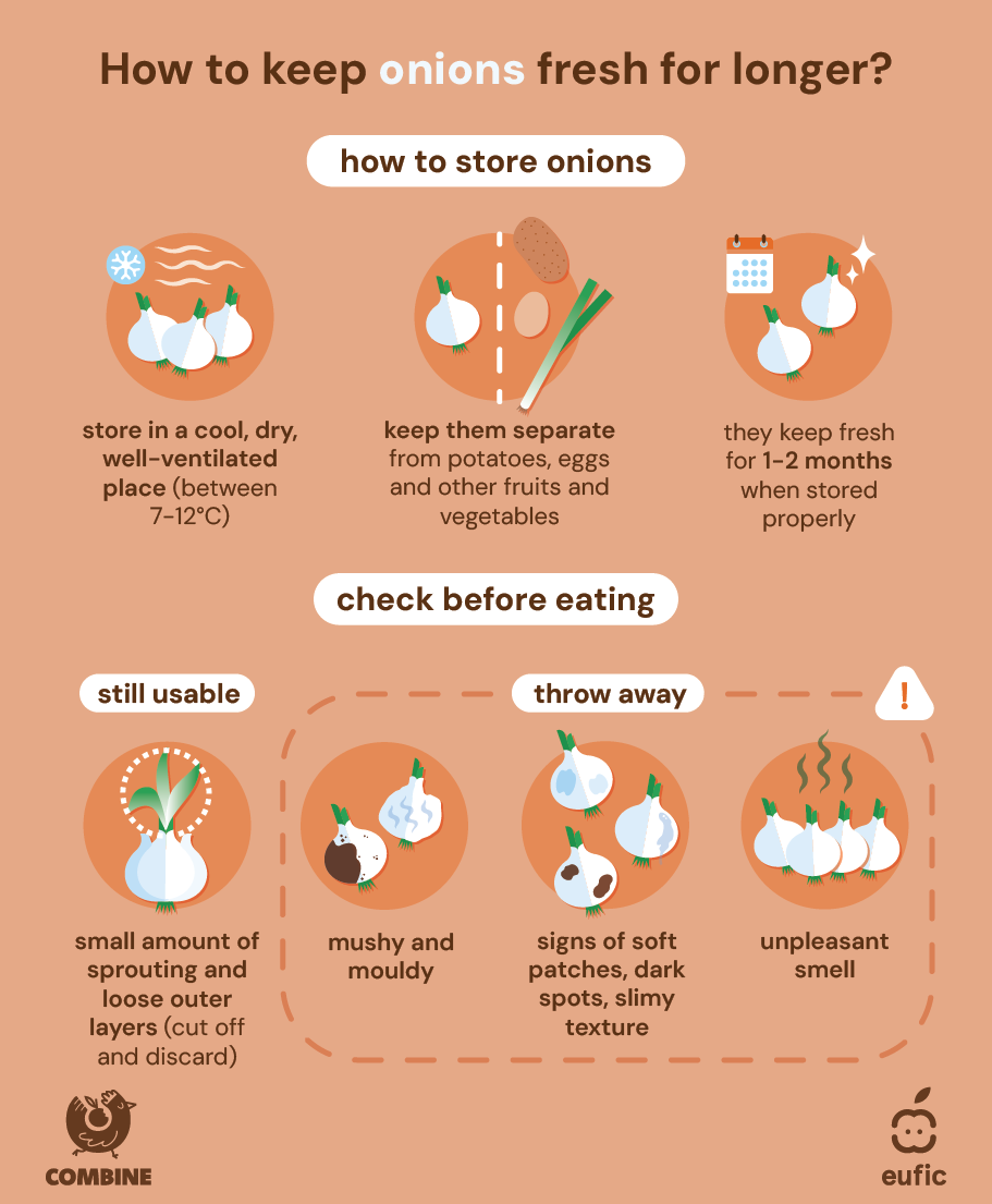 how_to_store_food_batch_1_article-onions.png