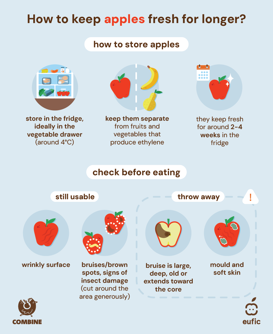 how_to_store_food_batch_2_article-apples.png