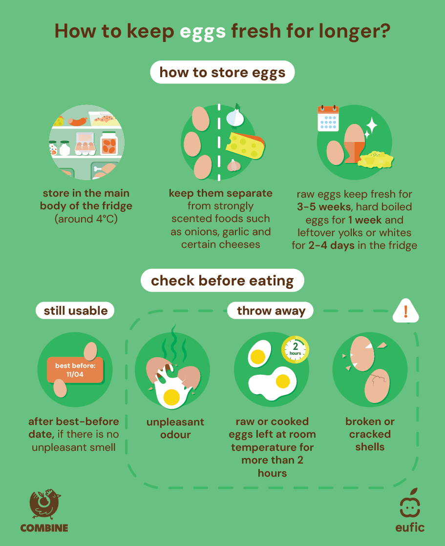 how_to_store_food_batch_2_article-eggs.png