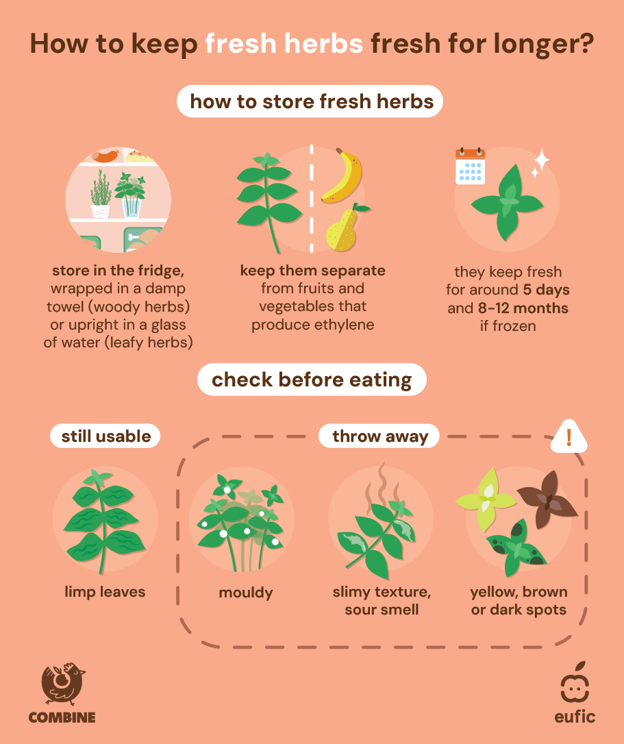 how_to_store_food_batch_2_article-fresh_herbs.png