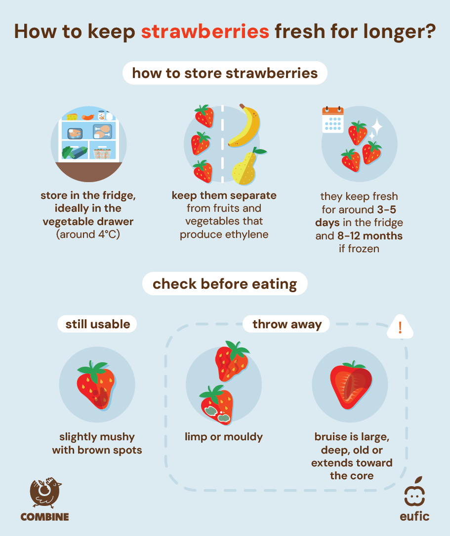 how_to_store_food_batch_2_article-strawberries.png