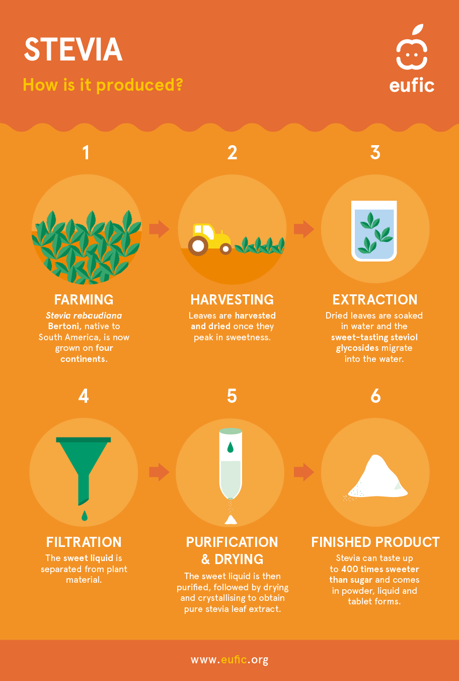 how is stevia made