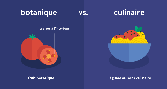 Classification botanique vs culinaire des tomates