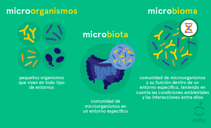 Diferencia entre microrganismos, microbiota, microbioma