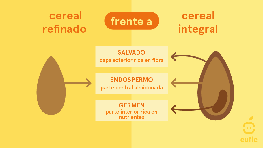 Cereales integrales: qué beneficios tienen y por qué son mejores que los  refinados