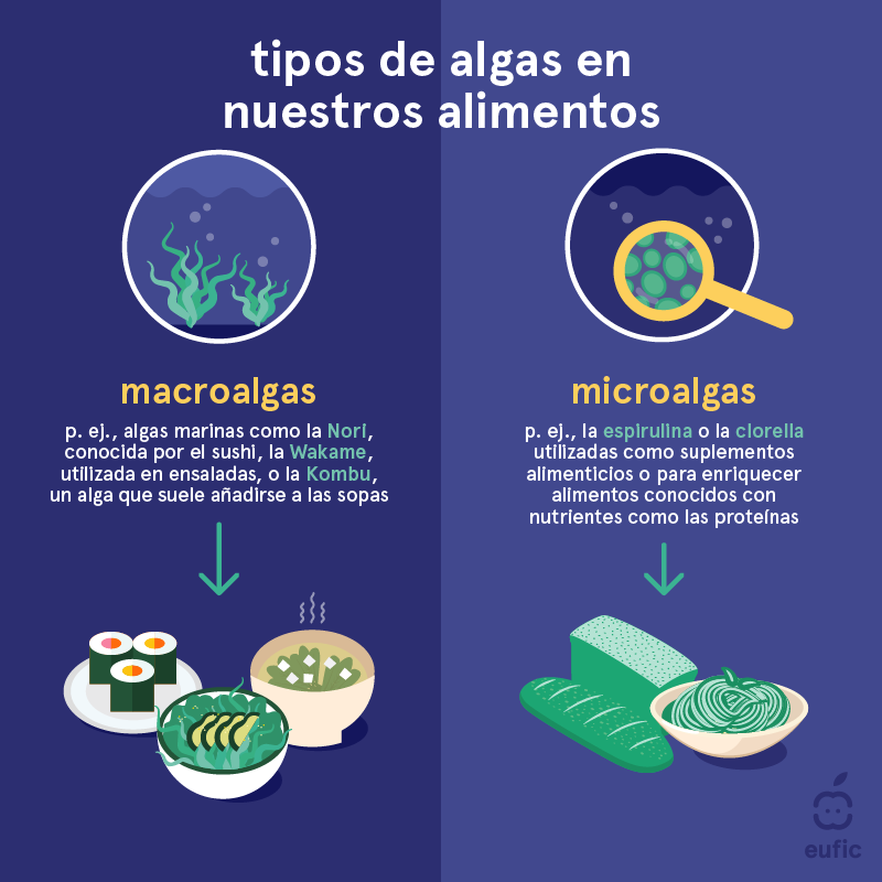 tipos de algas en nuestros alimentos