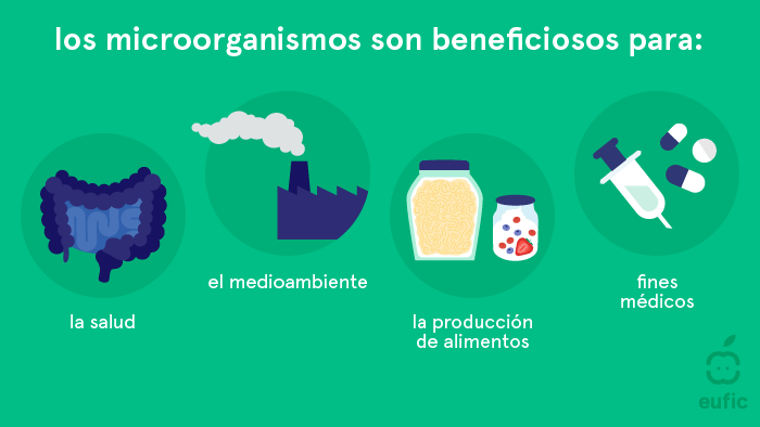 beneficios de los microorganismos