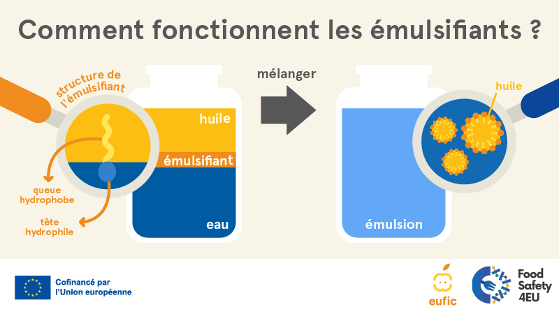 Comment fonctionnent les emulsifiants?