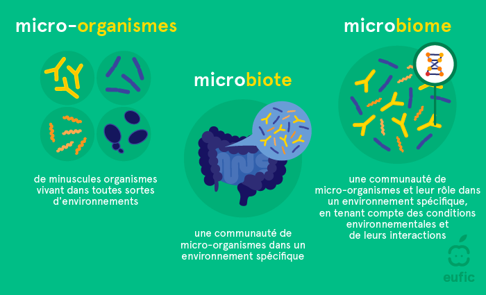 différence entre micro-organismes, microbiote et microbiome