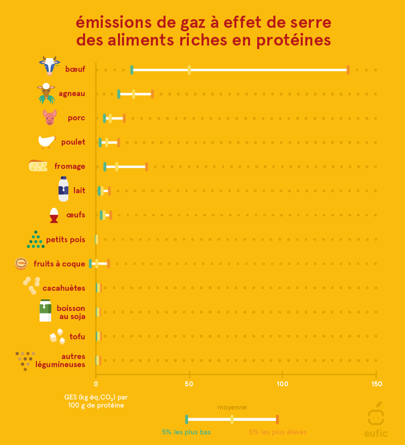 ▷ Quelle est la teneur en Protéines du Bœuf ? 【2024 】