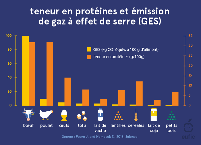 Teneur en protéines et émissions de gaz à effet de serre (GES) de différents aliments