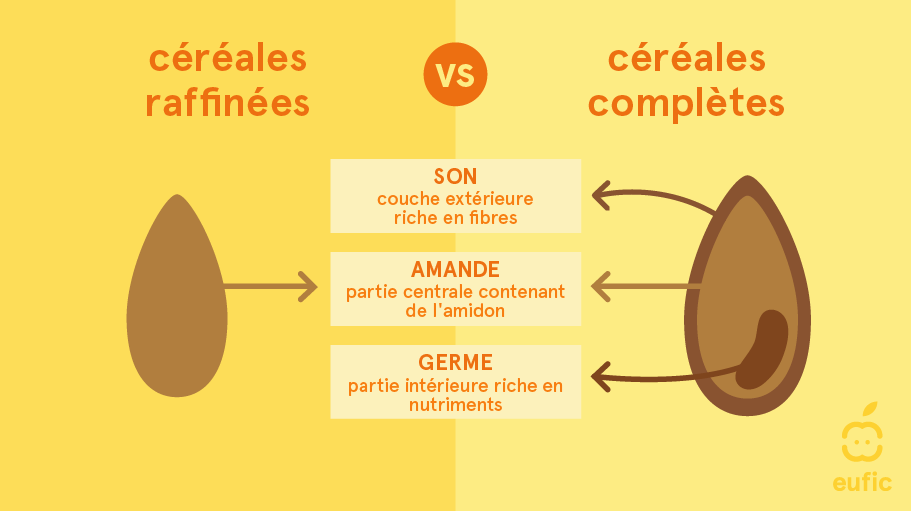 Céréales complètes (questions et réponses)